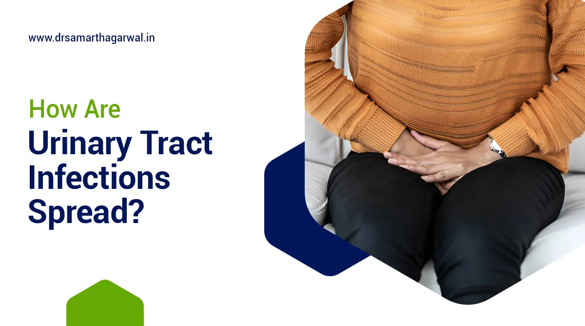 How Are Urinary Tract Infections Spread?