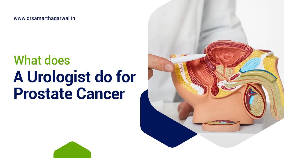 What Does a Urologist Do for Prostate Cancer?